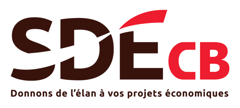SDE Logo Colour